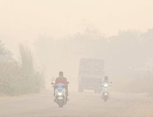 Union govt ends vacuum, clarifies on use of environment funds