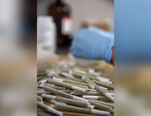 The 2020 Cannabis Worker Death Kept From the Public