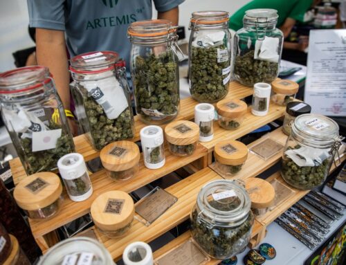 Sunland Park Marijuana Sales Are So High They Even Benefit El Paso