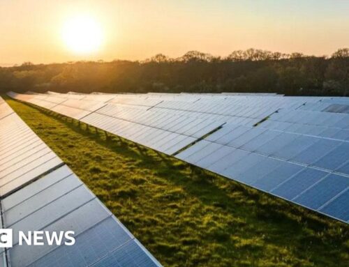 Build of Barkham Solar Farm paused after grid hook-up setback