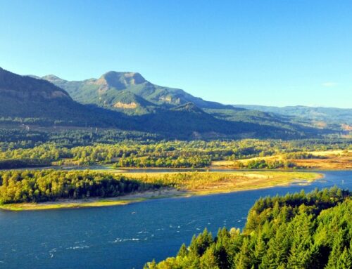 Pacific Seafood subsidiary sued over alleged Clean Water Act violations