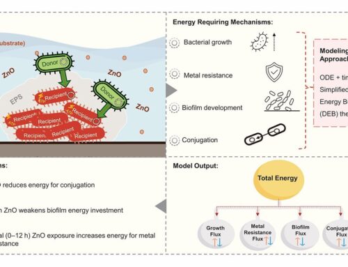 Bacterial energy model reveals how antimicrobial resistance spreads in the environment