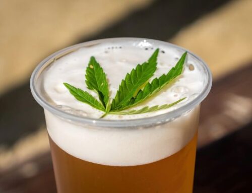 Best Beer Destinations – The 2025 Great American Beer Festival Is On!