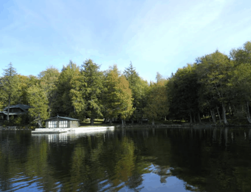 New Twitchell Lake website features area history and environment