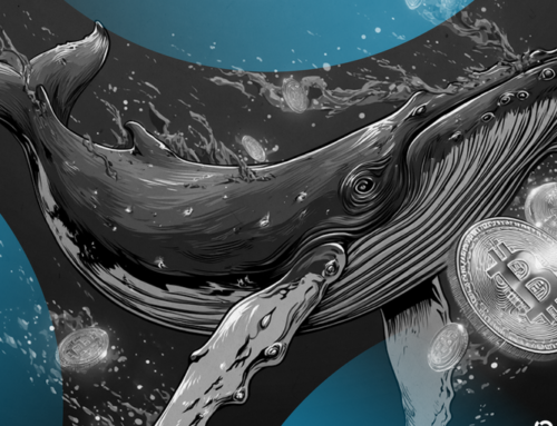 New Bitcoin Whales Outpace Old Guard in $6B Supply Tug-of-War