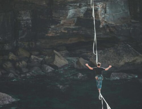 Bitcoin steady above $91,500 as solana, xrp and cardano nurse weekly losses