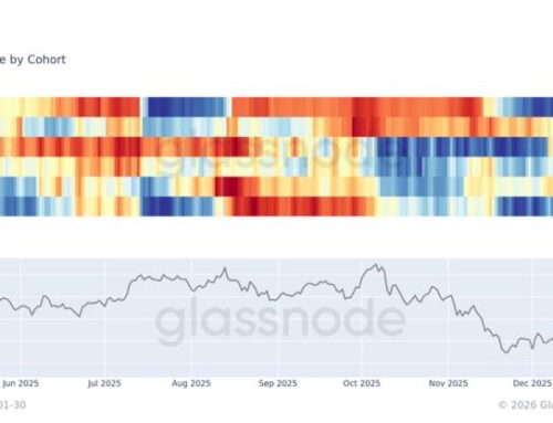 The big bitcoin divide: ‘Whales’ are buying the dip while everyone else runs for the exits