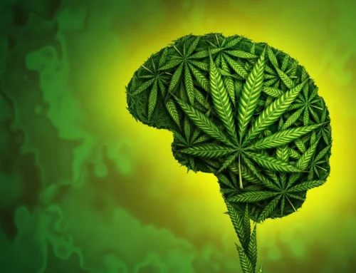 Cannabis was touted for nerve pain. The evidence falls short