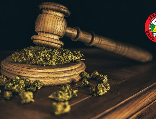 Public Notice of Expedited Cannabis Regulations Now in Effect