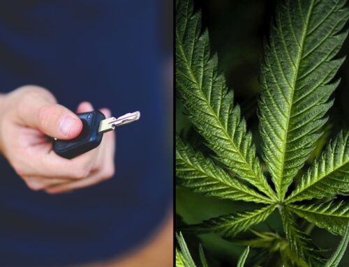 Florida Patients Could Lose Medical Marijuana Registrations For Having Open Containers Of