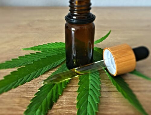 South Dakota Lawmakers Reject Bill To Let Terminally Ill Patients Use Medical Marijuana In