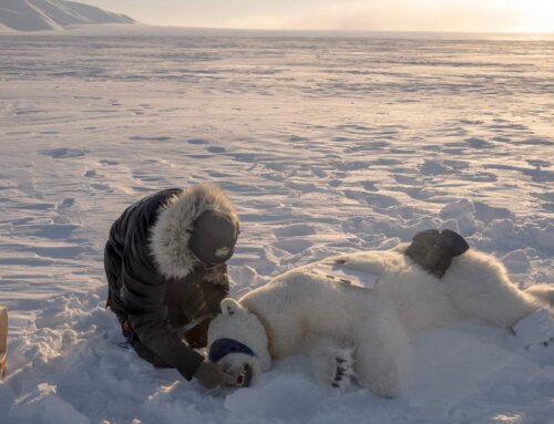 Environment: Europe’s temptation to unravel hard-won progress, ignoring scientific truth