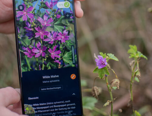 Crowd sensing for the environment: Citizen science and plant apps map how urbanization alt