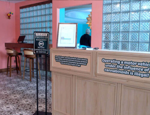 Coconut Cannabis Dispensary Set To Open North of Bemidji This February