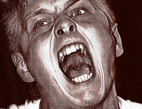 Crypto Bros in Meltdown as Bitcoin Crashes