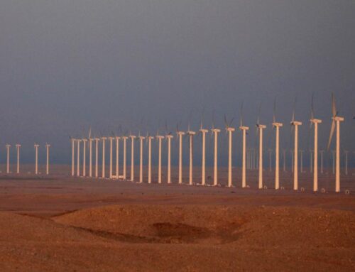 Egypt, Somalia announce plans to boost renewables