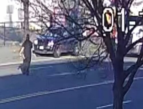 Seattle police search for hit-and-run suspect after cannabis store worker injured in SODO