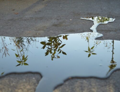 The Week in impact investing: Perception and reality