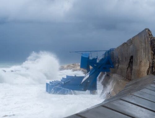 Eco Wave Power Reports Strong December 2025 Wave Energy Performance at Jaffa Port, Reinfor
