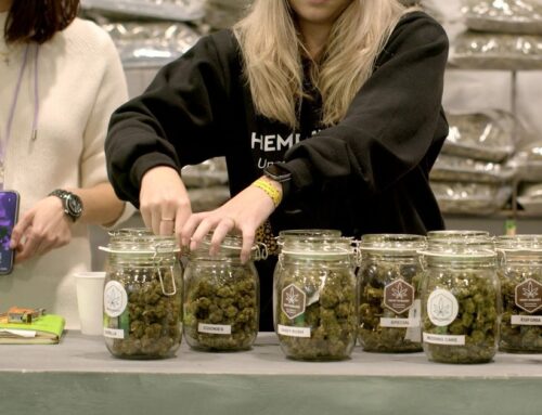 US: Cannabis business sues Michigan township after voters ban pot shops