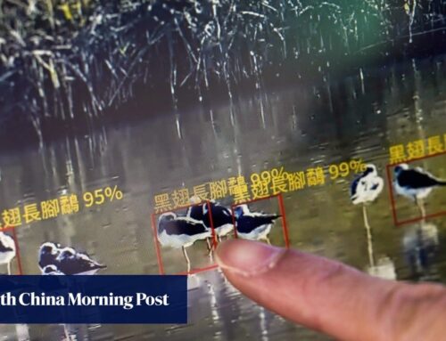 AI and laser-armed robot dogs sharpen Hong Kong’s environment impact reviews