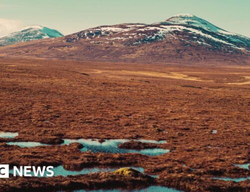 Kirkton energy park rejected over Flow Country impact concerns