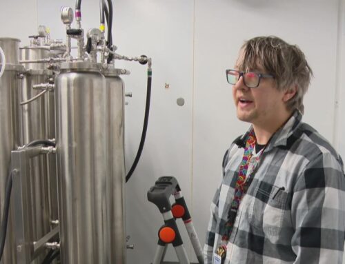 ‘Missing piece’ | First Ky. cannabis processor opens to complete industry supply chain