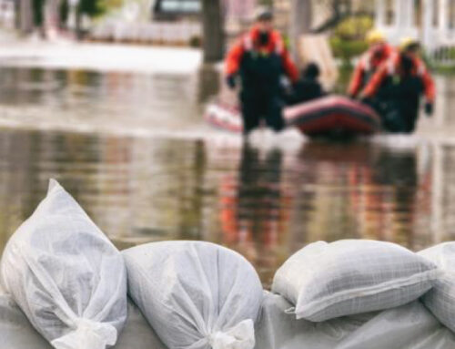 Governor Hochul Unveils Plan to Invest in Nation-Leading Environmental Protection Initiati