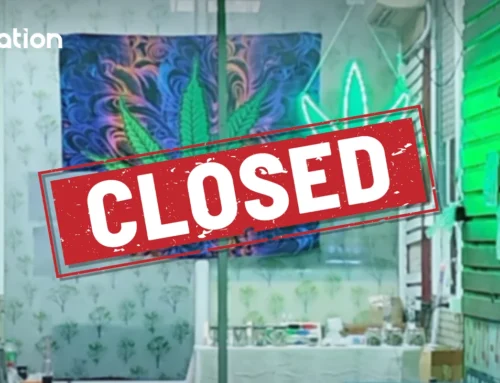 7,000+ cannabis shops close as rules tighten—patients assured