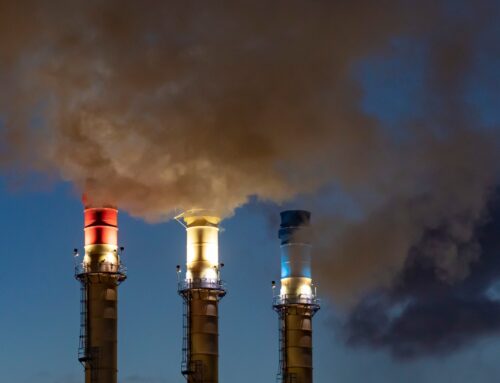 Despite Trump-era reversals, 2025 still saw environmental wins. Here are 7 worth noting.