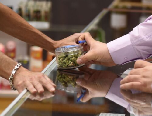 How much cannabis tax revenue your community made