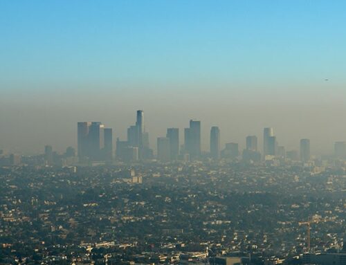 ‘From the Margins to the Mainstream’: Experts Urge Action Addressing Environmental CVD Ris