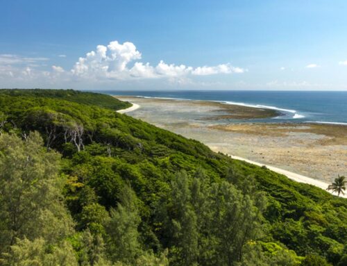 The Great Nicobar project | Between the sea and the state