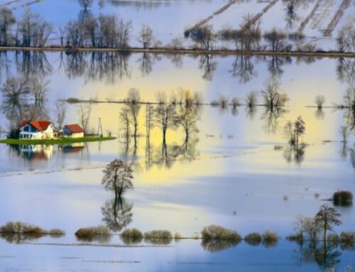 Climate change impacts, risks and adaptation