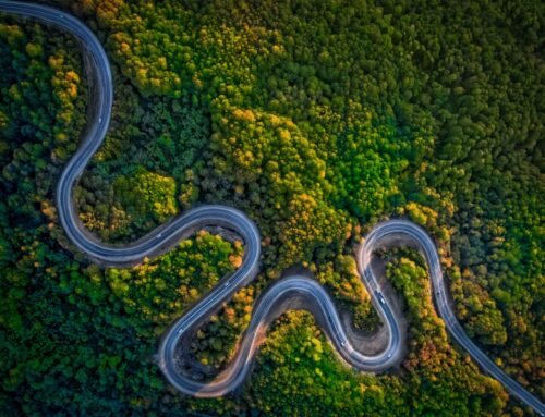 Investing in climate adaptation strengthens European competitiveness