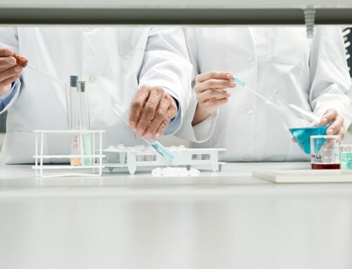 The Best Stocks to Invest $40 in to Start the New Year Off Right