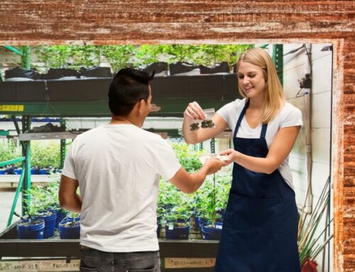 2 Actually Profitable Pot Stocks To Buy Before Trump’s Cannabis Rescheduling