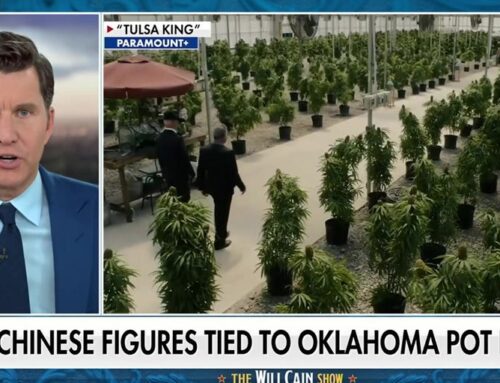 Chinese criminal networks linked to Oklahoma cannabis farms