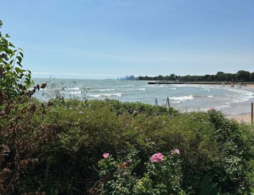 Environment Board debates lakefront public property sale requirements