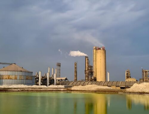 Pakistan’s Green Bureaucracy Finds Its Feet