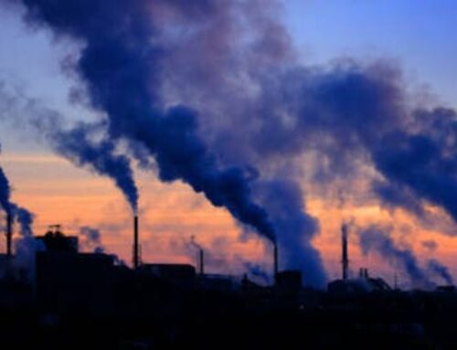 Trump to cut U.S. ties to 66 environmental groups, foundational U.N. climate treaty