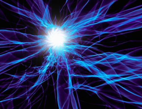 BMNU: Leveraged Trading Strategy For Ethereum Treasury