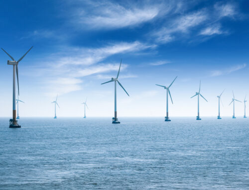 China’s Wind Farms Are Doing A Lot More Than Generating Electricity