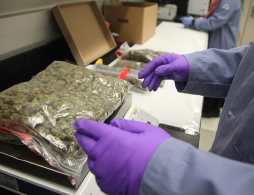 Michigan Lawmakers Weigh Bill To Create Statewide Cannabis Reference Lab To Standardize Te