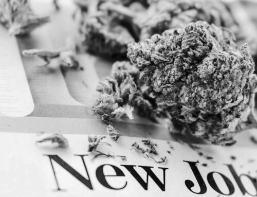 Culture Council: Navigating the Green Rush: Your Strategic Guide to Choosing a Recruiter f