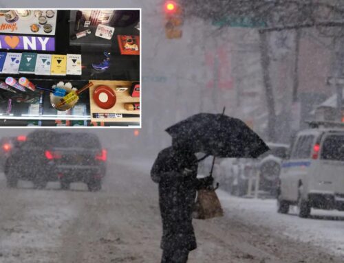 Exclusive | Bread, eggs, milk— and weed! Potheads swarm cannabis shops to prep…