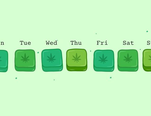 Weed Companies Are Cashing In on Dry January