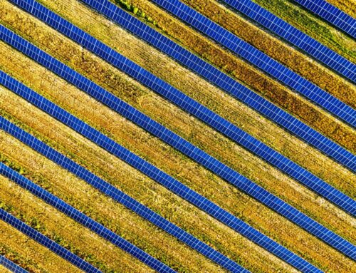 Why the World Is Switching to Renewables Faster Than Anyone Expected