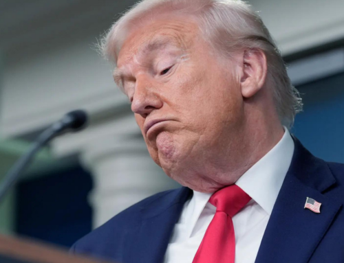 ‘Whatever happened to global warming’: Trump called ‘imbecile’ as he mocks environment act