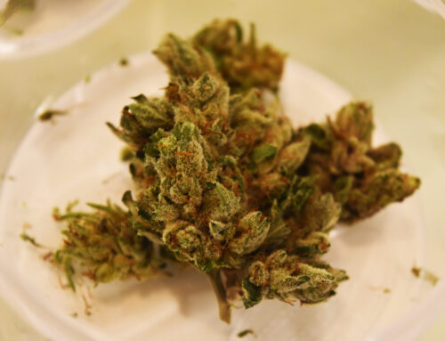 Cannabis sales inched higher in 2025 to record $1.65 billion